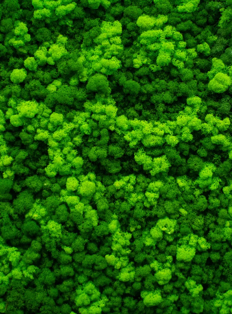 東京海上スマートGX株式会社のファーストビュー画像